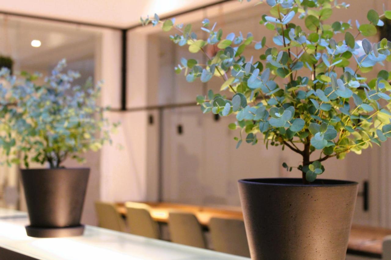 Bee Green Linz Self-Check-In-Hotel Zewnętrze zdjęcie